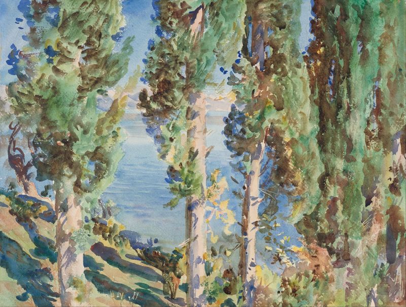 Corfu; Cypresses de John Singer Sargent, óleo sobre lienzo que muestra cipreses y un cielo vibrante.