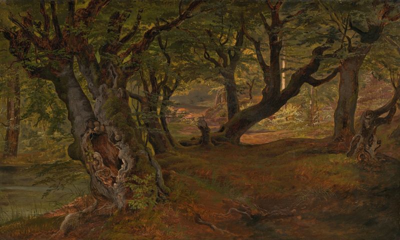 View of Bregentved Forest, oil on canvas by Frederik Sødring