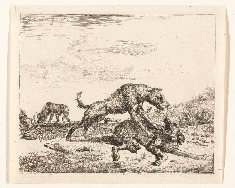 Gravura de Adriaen van de Velde mostrando dois cães lutando.
