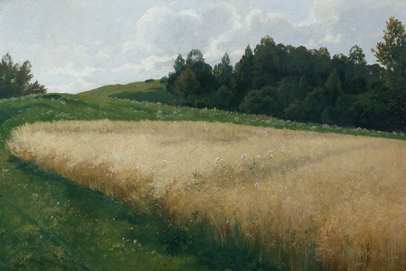 Das Haferfeld by Adolf Kaufmann, oil painting depicting a serene field of oats.