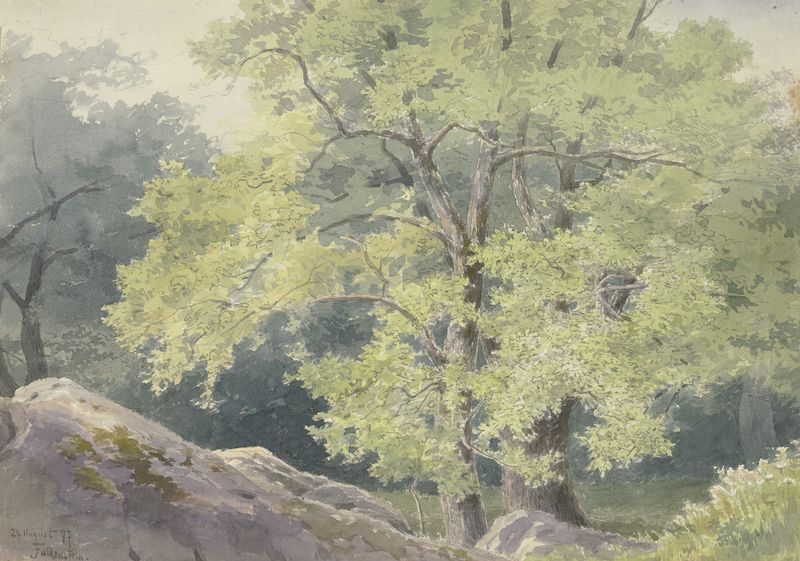 Forest landscape with a path and dappled light, oil painting by Friedrich Ernst Morgenstern