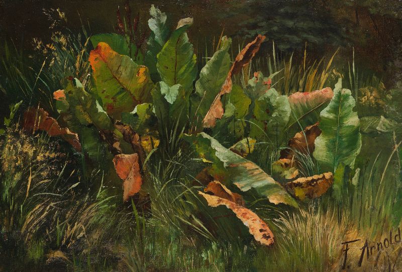 Paisagem com azedinha, pintura a óleo de Friedrich Adolph Arnold