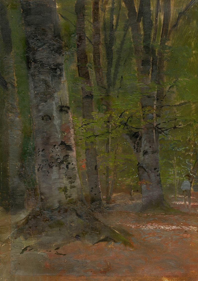 Estudio del Interior del Bosque, óleo sobre lienzo de Ladislav Mednyánszky, que muestra un bosque tranquilo con luz solar.