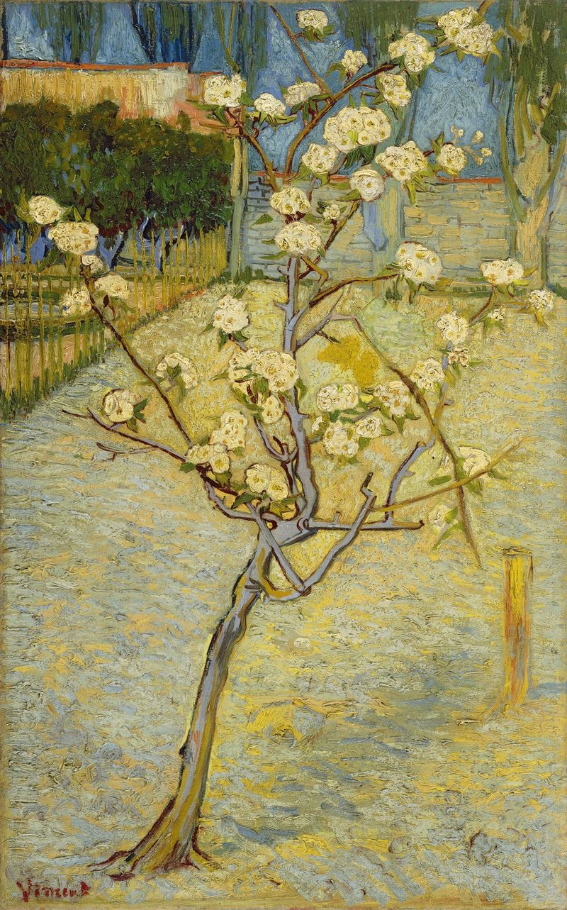 Small Pear Tree in Blossom, óleo sobre tela de Vincent van Gogh, apresentando uma pereira em flor.