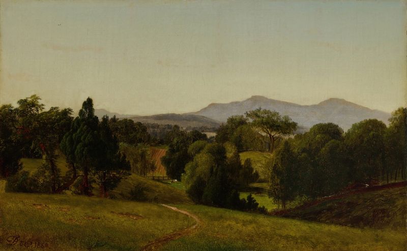 Study of Tivoli de David Johnson, meio de madeira, representando uma paisagem com luz e sombra.