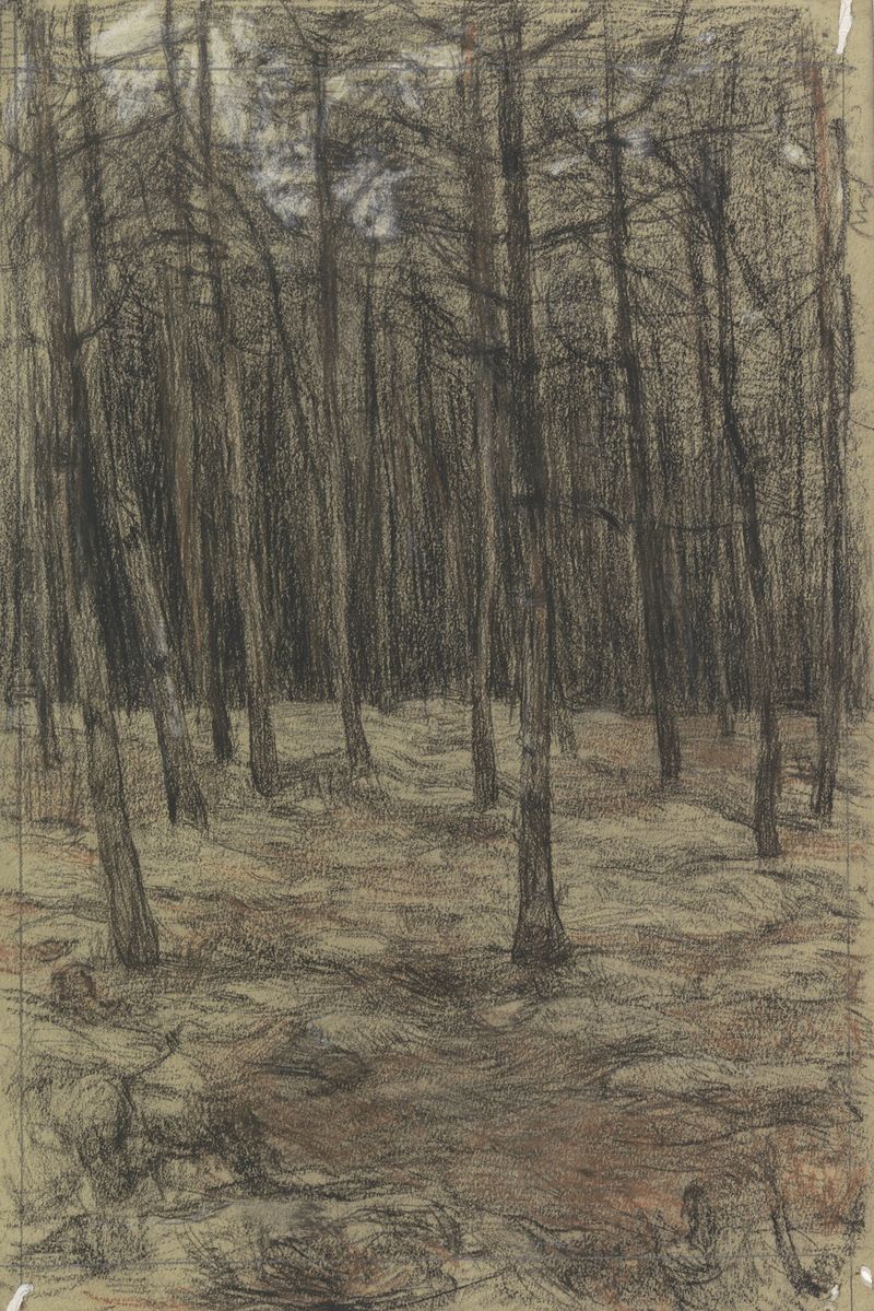 Boslandschap de Jan Veth, óleo sobre lienzo que representa un paisaje forestal exuberante con árboles altos y luz suave.