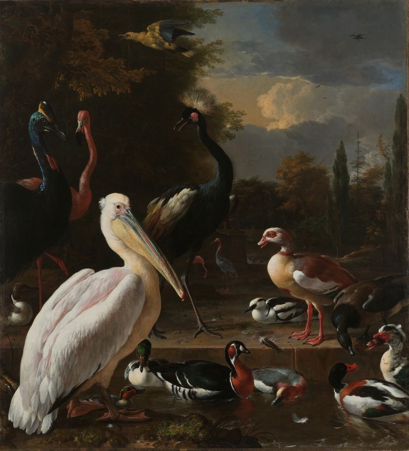 A pelican and various birds near a pool, oil painting by Melchior d'Hondecoeter