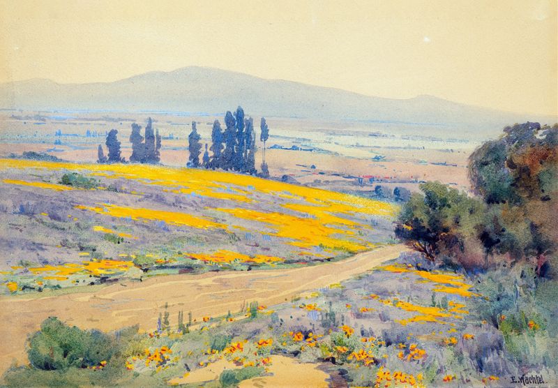 California Spring Landscape by Elmer Wachtel, impressionism, depicting rolling hills and wildflowers in spring.