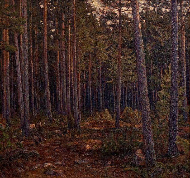 Interior of a coniferous forest by Herman Norrman, oil painting showing sunlight filtering through trees.