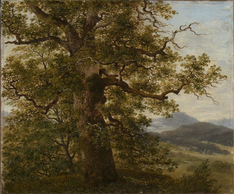 Eichbaum in Landschaft by Georg Wilhelm Issel, oil painting depicting a solitary tree in an autumn landscape.