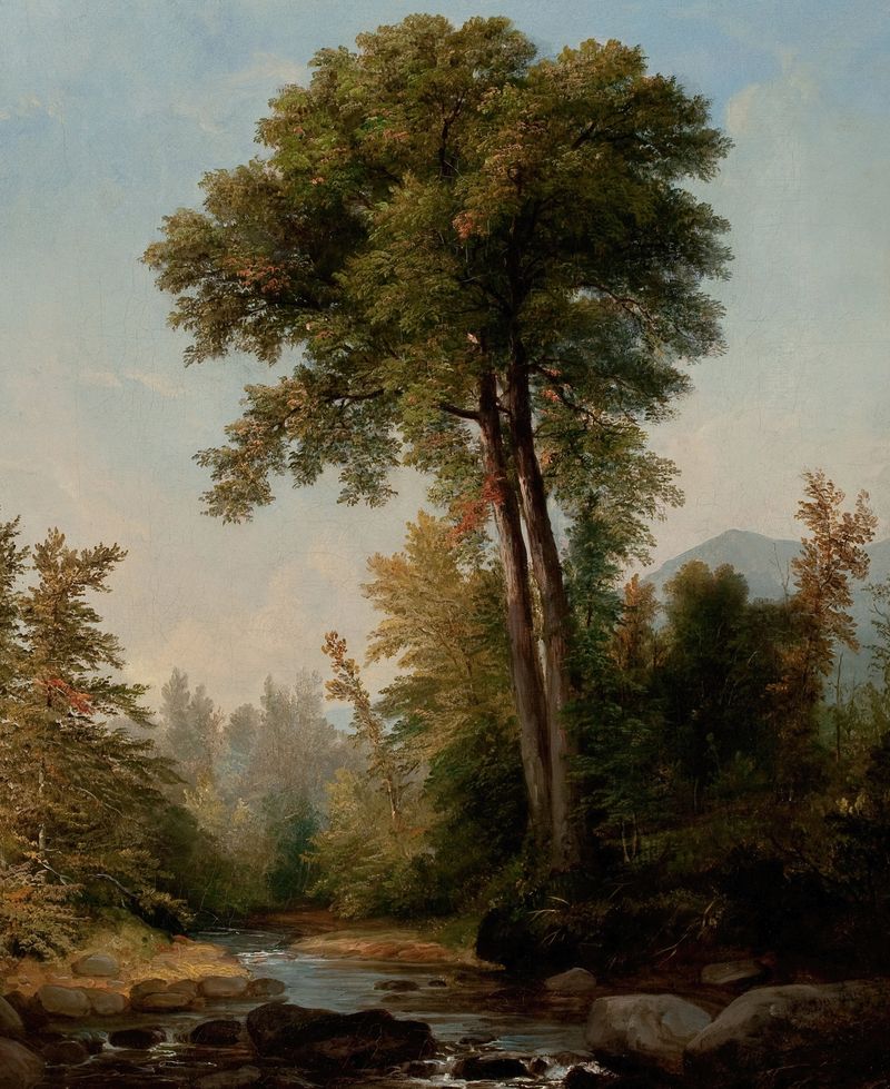 Landscape with a tree, oil painting by Asher Brown Durand