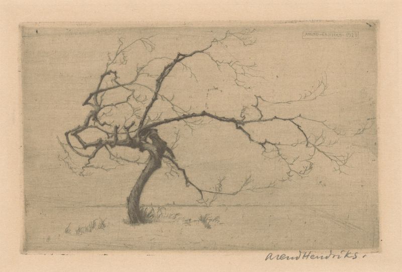 Klein boompje de Arend Hendriks, óleo sobre tela retratando uma árvore solitária em uma paisagem tranquila