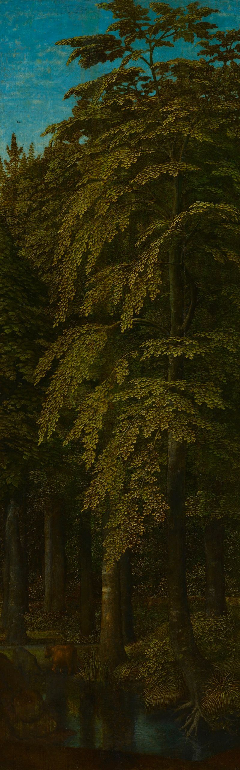 Forest scene with sunlight filtering through trees, oil on panel by Gerard David