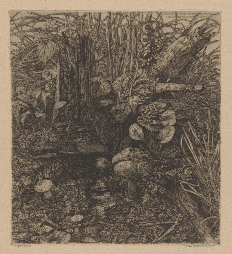 Botanical scene with mushrooms and a tree stump by Arend Hendriks, oil painting