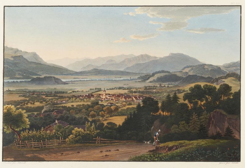 Landscape of La petite ville d’Altstatten dans la valée du Rhin by Johann Ludwig Bleuler, medium unknown