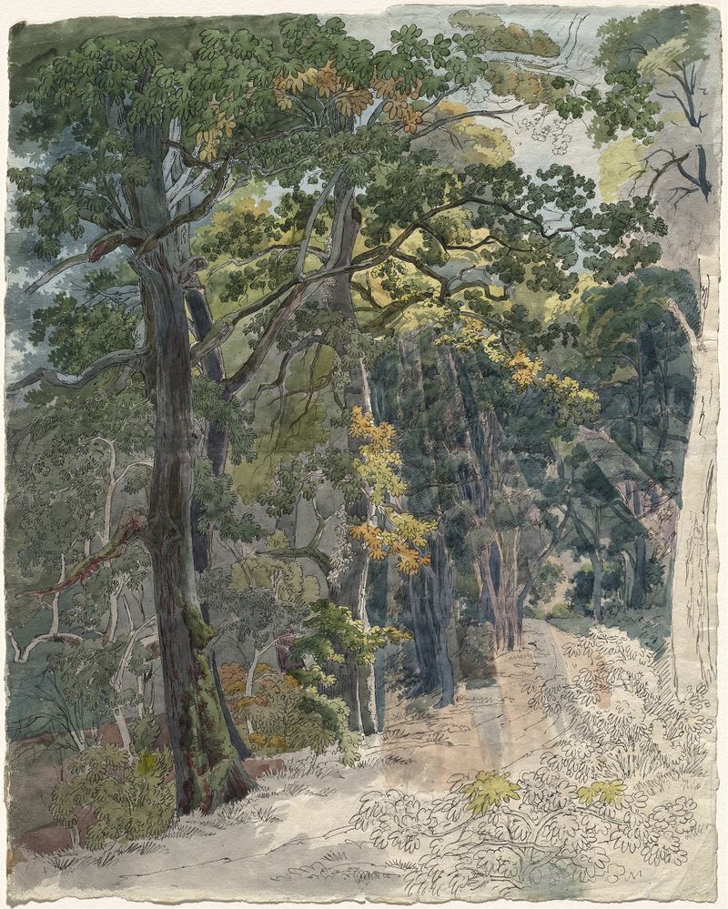 Woodland path illuminated by sunlight, oil painting by Friedrich Salathé