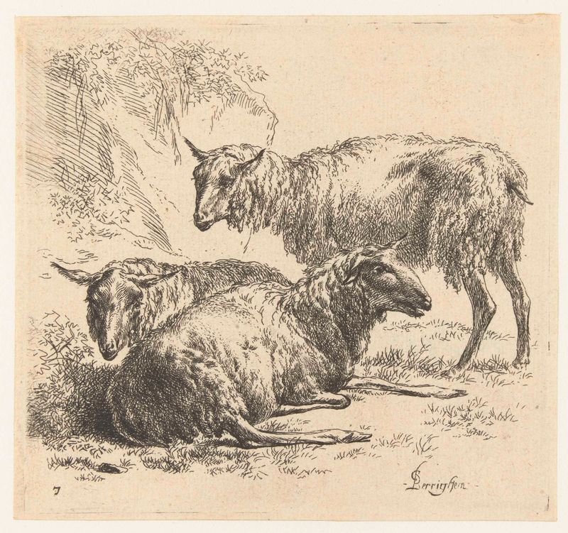Gravura de Nicolaes Pietersz Berchem mostrando duas ovelhas deitadas e uma em pé em um ambiente natural.