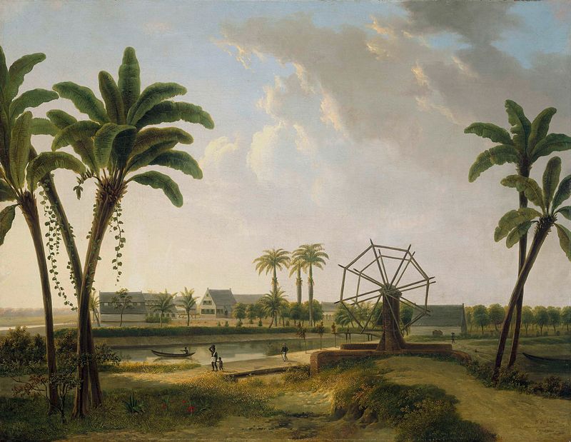 View of a coffee plantation with lush foliage, oil on canvas by Willem de Klerk