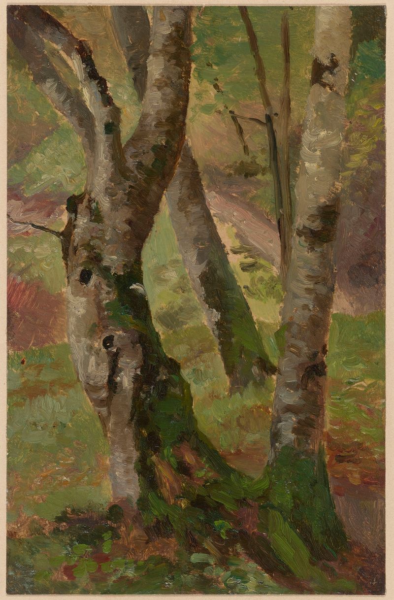 Birch Tree Trunks de Theodor Blache, óleo sobre tela mostrando serenas árvores de bétula.