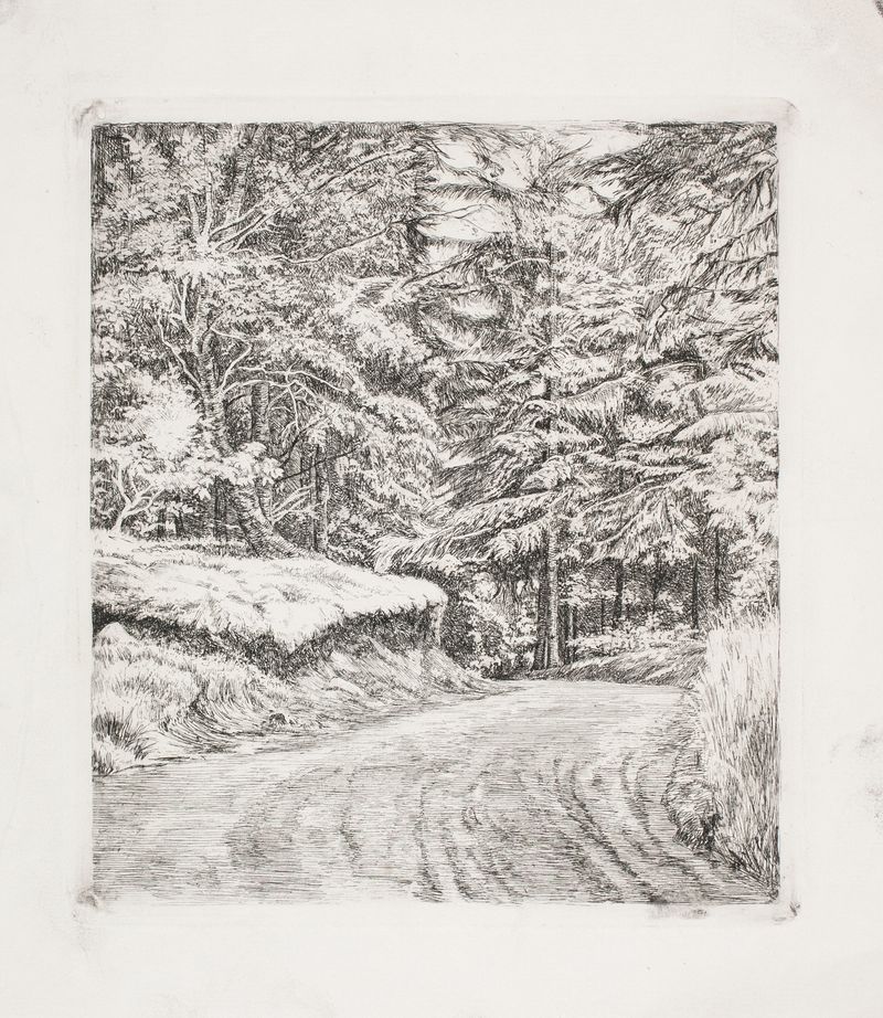 Vejen i Granskoven by Carl Bloch, oil on canvas depicting a serene forest path