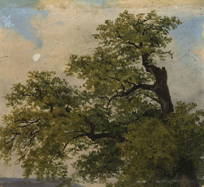 Landscape with trees in oil on canvas by Julius Schoppe