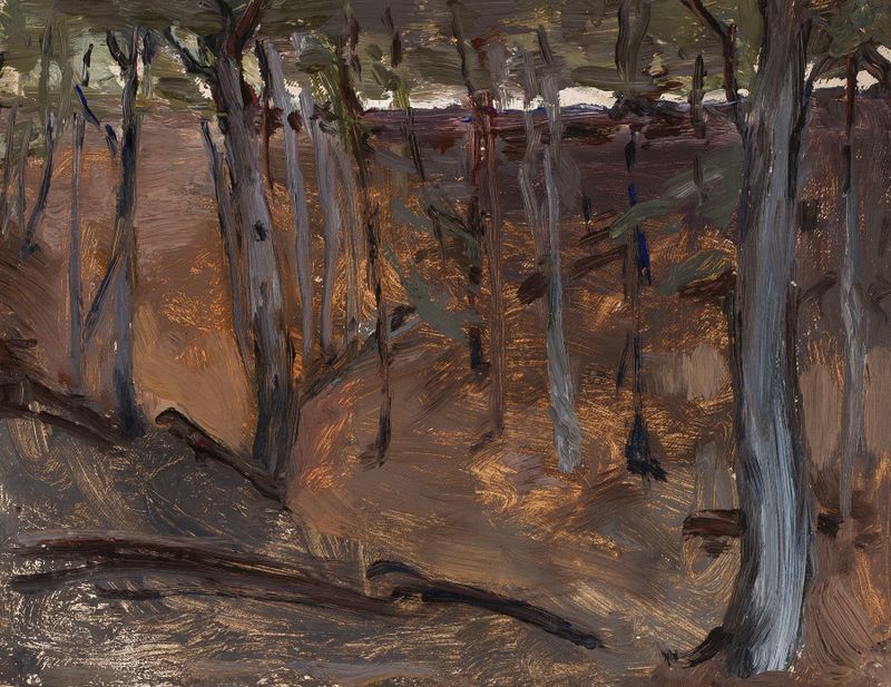 Cena de floresta com luz filtrada, de Jan Ciągliński, meio desconhecido