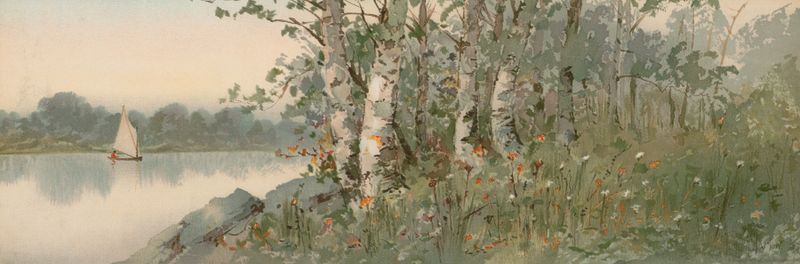 Birchpoint de Louis Kinney Harlow, óleo sobre tela representando bétulas e luz filtrada em uma floresta.