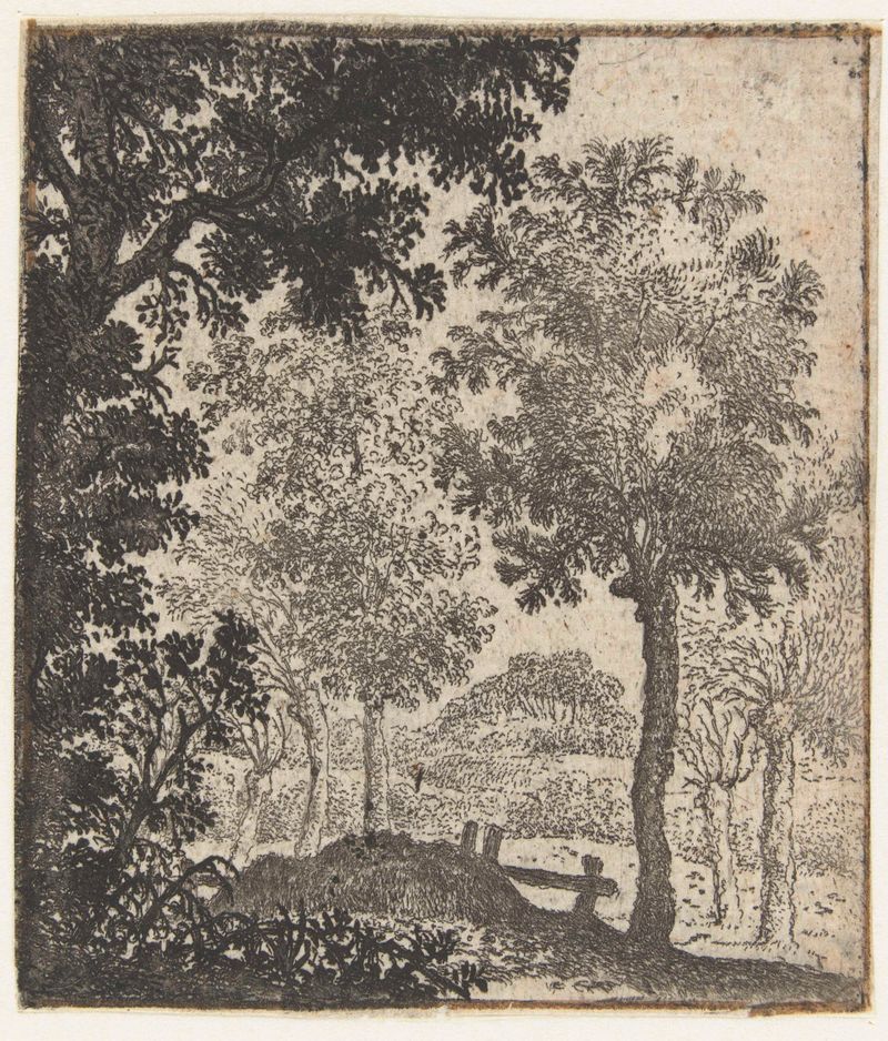 Landscape etching by Jan van Brosterhuyzen featuring a large tree and rolling hills.