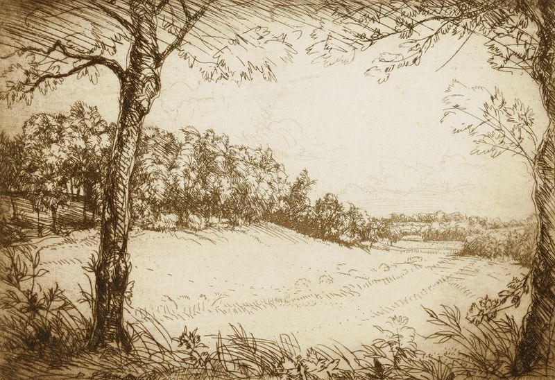 Paisagem mostrando uma manhã de verão com neblina no Tennessee por Donald Shaw MacLaughlan, pintura a óleo
