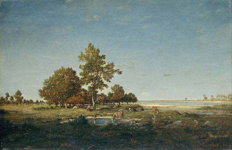 Paisaje con un grupo de árboles, óleo sobre lienzo de Théodore Rousseau