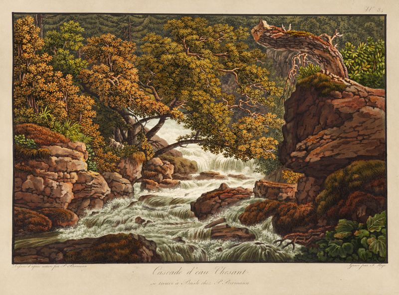 Cascade d’eau Chesant de Peter Birmann, pintura a óleo que retrata uma cachoeira cercada por vegetação exuberante.