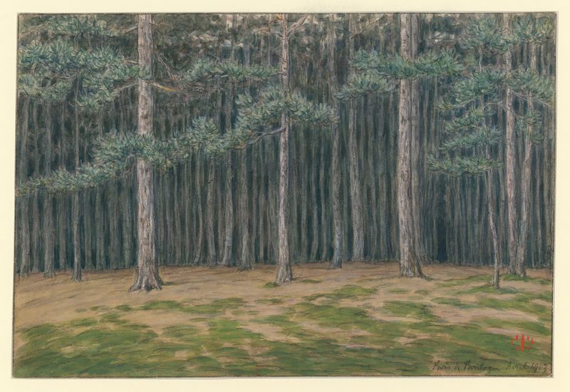 Bois de Boulogne de Henri Rivière, uma paisagem de Pós-Impressionismo