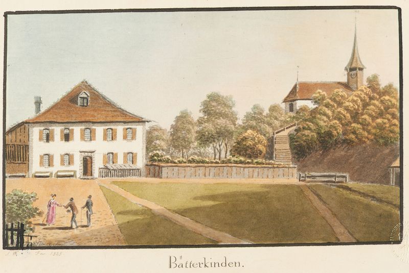Obra botânica representando folhagem de Jakob Samuel Weibel