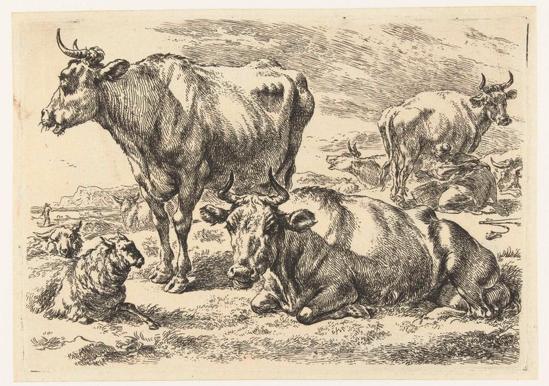 Escena pastoral con una vaca y ovejas en un prado, grabado de Nicolaes Pietersz Berchem