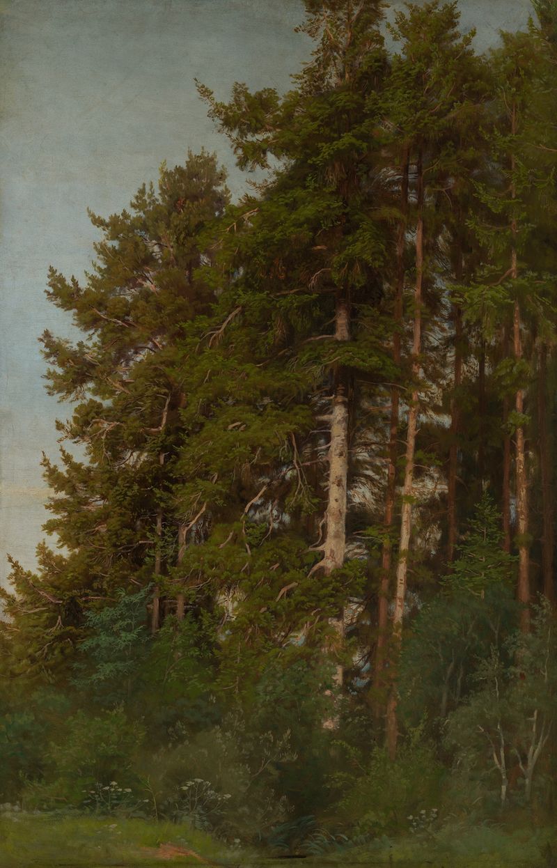 Tannen und Unterholz by Emil Lugo, oil painting depicting a tranquil forest scene.