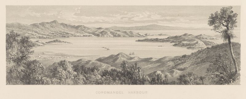 Landscape of Coromandel Harbour by Charles Decimus Barraud, 1877, medium unknown