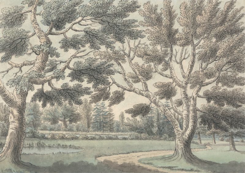 Diseño para un Jardín Paisajístico con Estanques Vistos a Través de los Árboles, tinta sobre papel de James Spyers