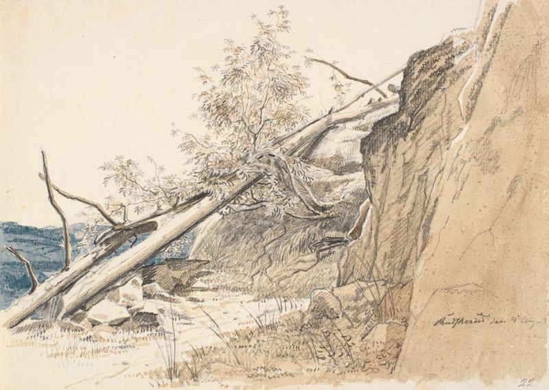 Tree trunk leaning against a rock, oil on canvas by Martinus Rørbye