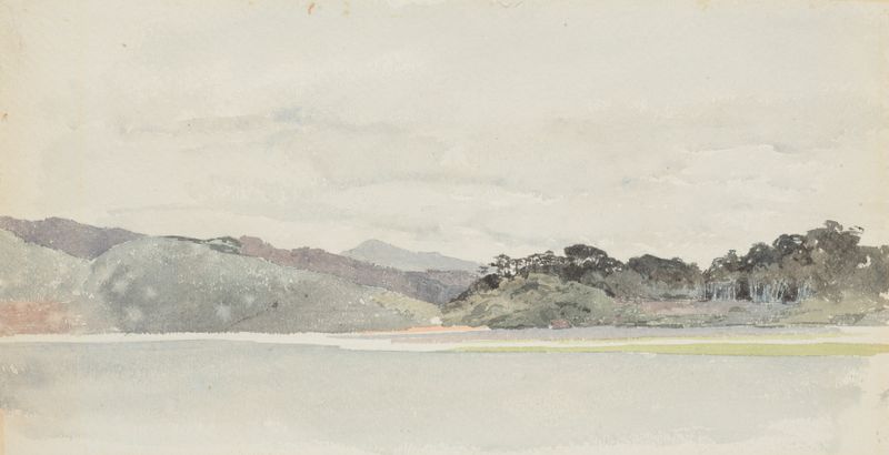 Paisaje que representa West Wanganui con colinas y un río, pintura al óleo de James Crowe Richmond