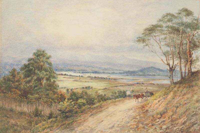 Landscape of The Valley of the Derwent, Tasmania by Charles Decimus Barraud, oil painting