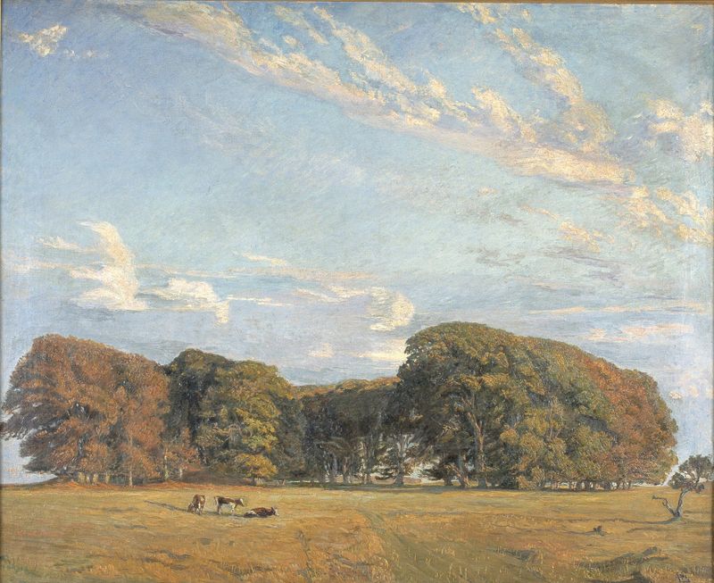 Eremitagesletten de Aksel M. Lassen, óleo sobre lienzo que representa un paisaje sereno con luz y sombra.