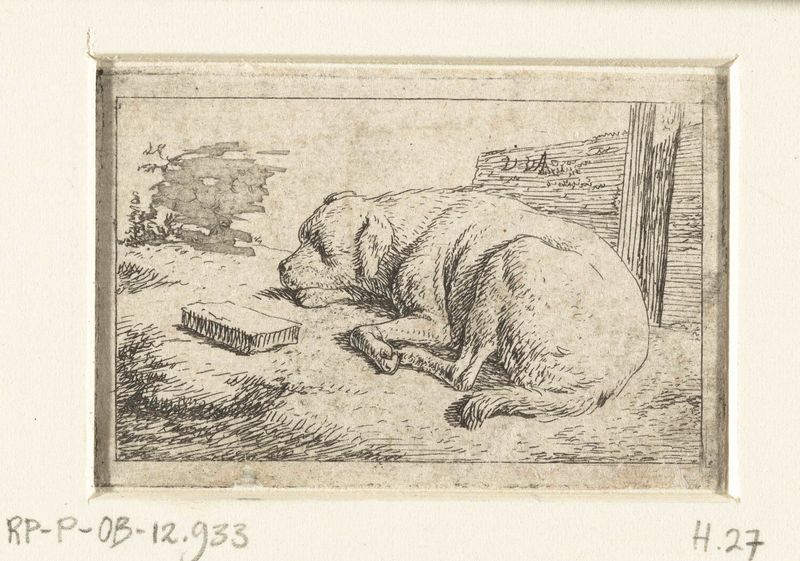 Slapende hond etching by Adriaen van de Velde depicting a sleeping dog in golden light