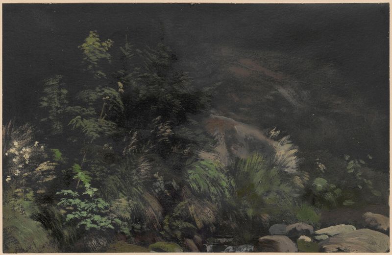 Plants on Rocks de Adolf Dressler, óleo sobre tela que retrata plantas vibrantes em pedras rugosas.