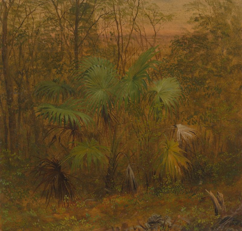 Thatch Palm, Jamaica de Frederic Edwin Church, pintura al óleo de una palma contra un cielo cobalto.