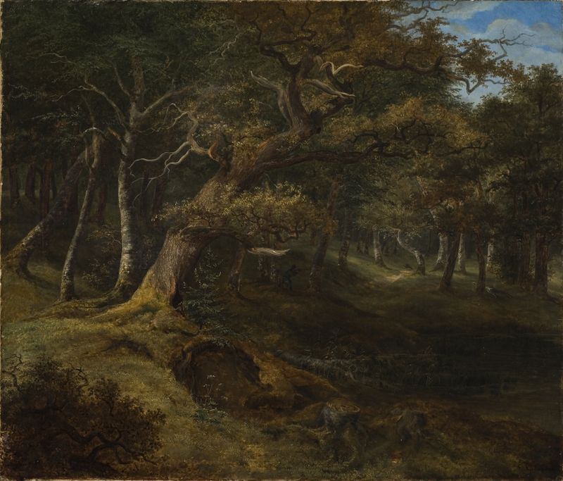 Caza de liebres en un bosque de hayas, óleo sobre lienzo de Christian Ezdorf