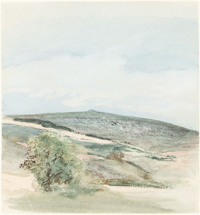 Landscape of heath with wildflowers by William Collins, oil painting