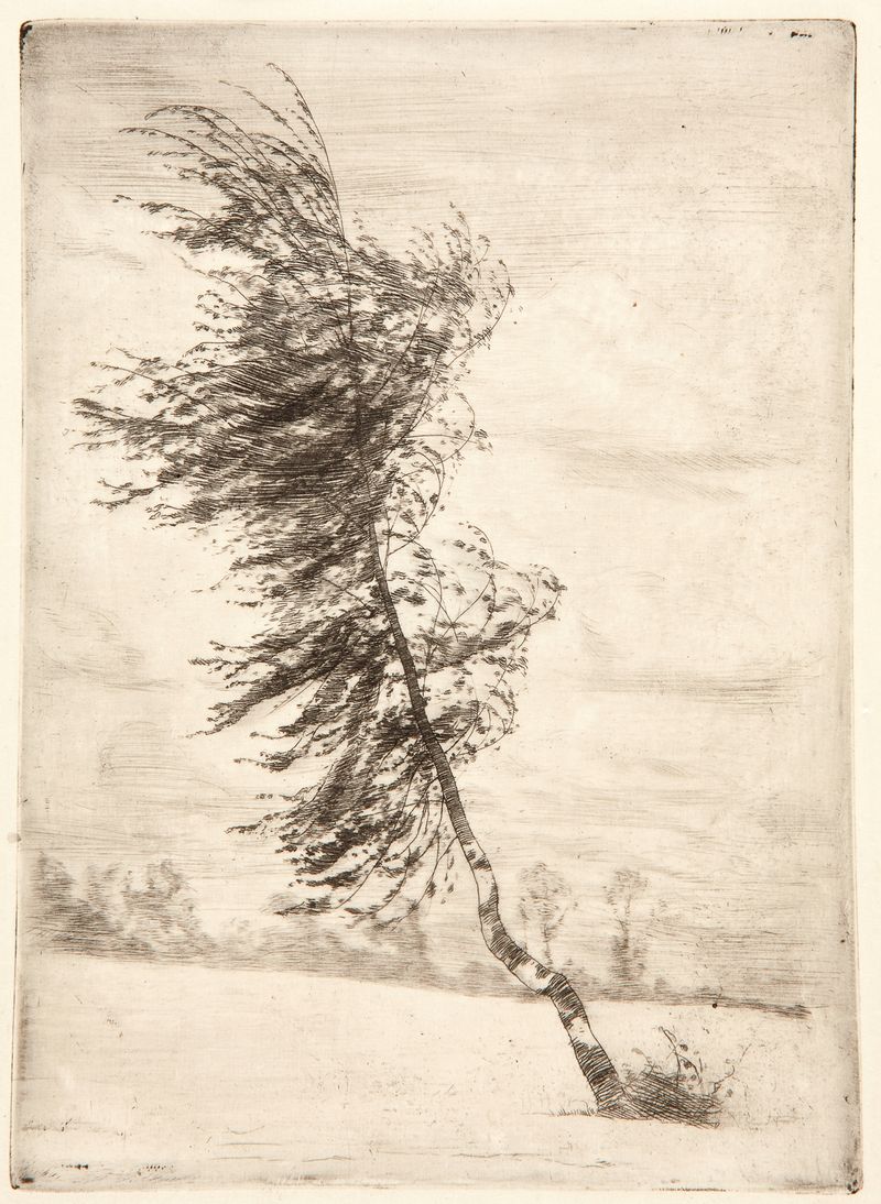 Landscape with a brzózka swaying in the breeze, oil on canvas by Józef Pankiewicz.