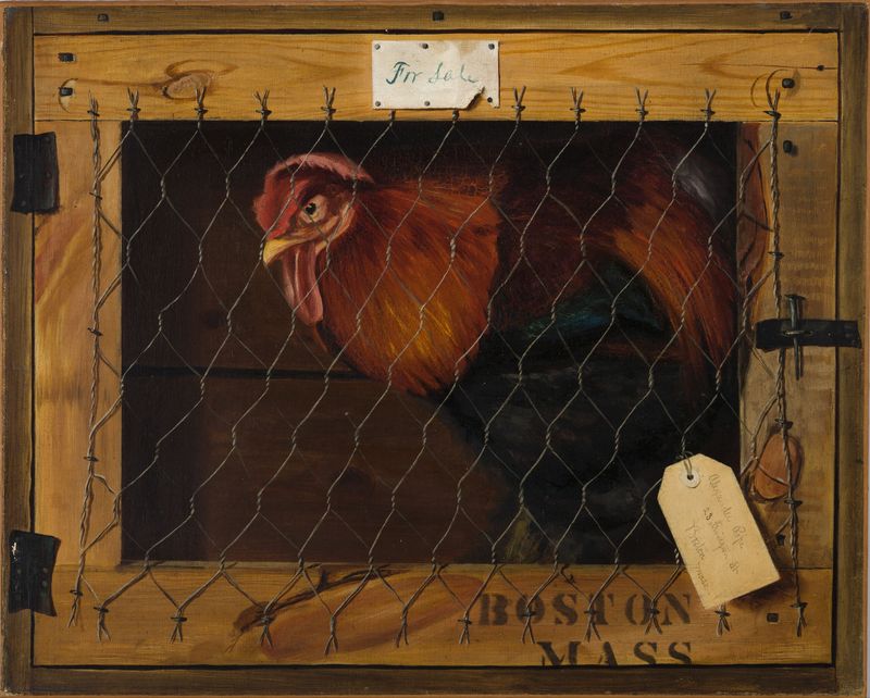 Gallo en tránsito, óleo sobre lienzo de Alexander Pope