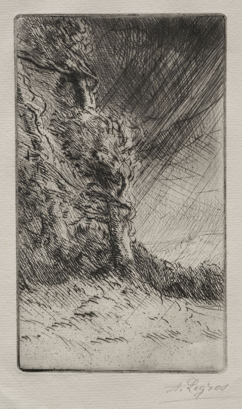 A Gust of Wind de Alphonse Legros, pintura a óleo que retrata vento e movimento em tons terrosos.
