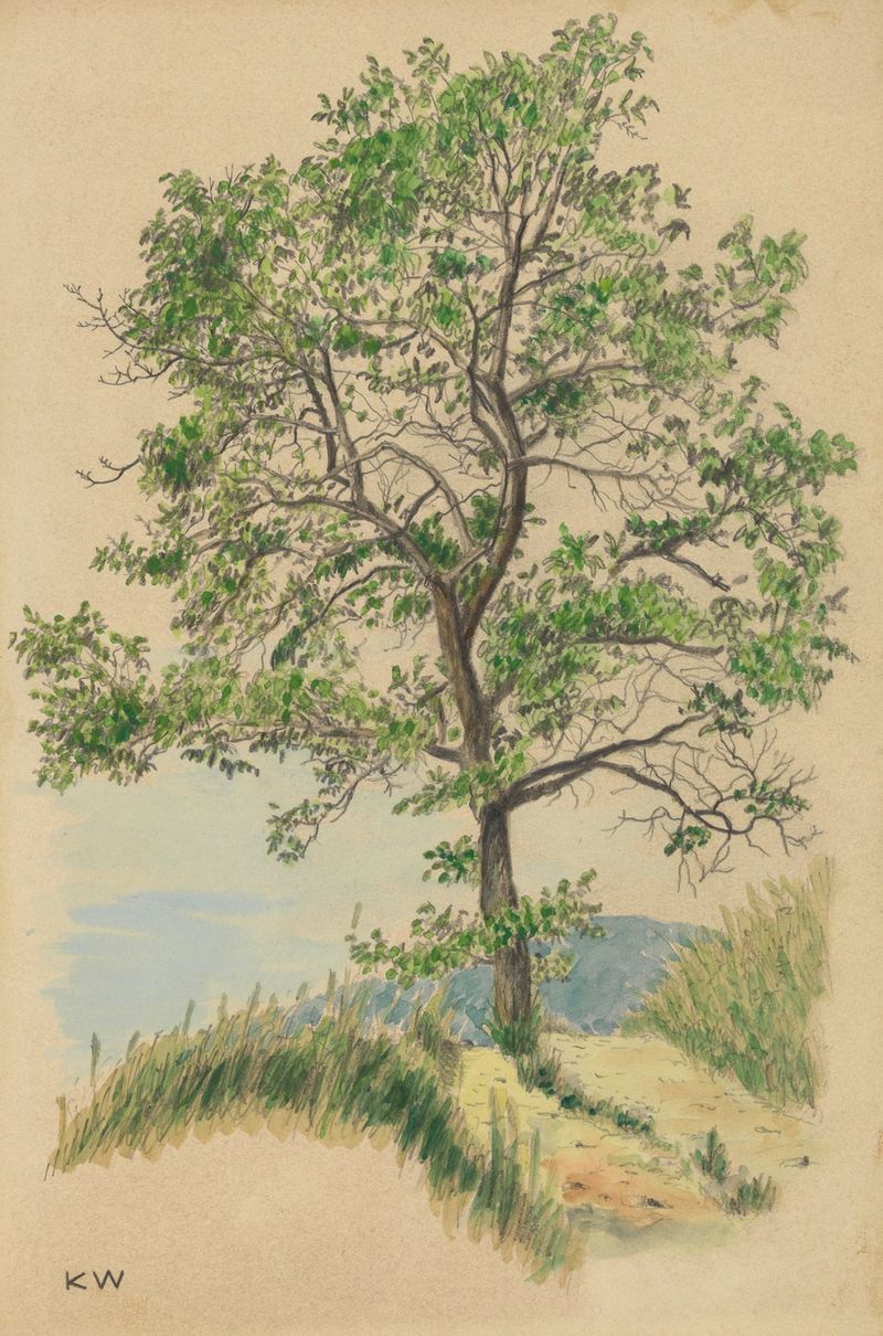 Paisagem com uma árvore e um caminho, pintura a óleo de Karl Wiener